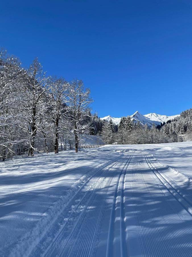 Walser Lodge Mittelberg Exterior foto